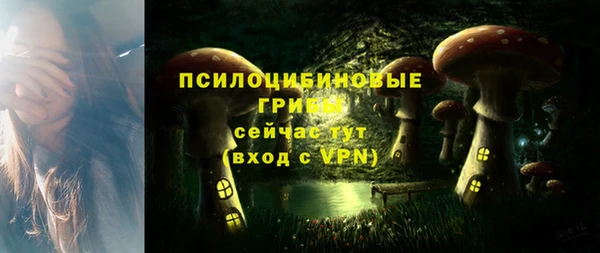 первитин Лабытнанги