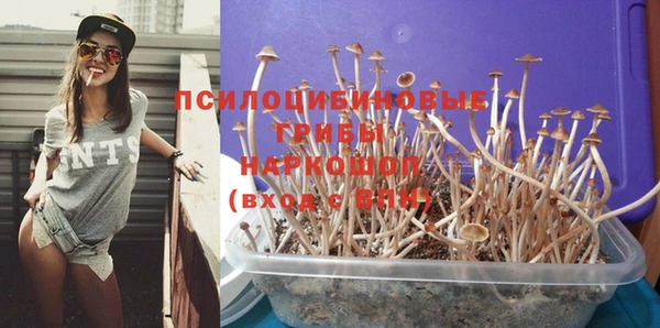 первитин Лабытнанги