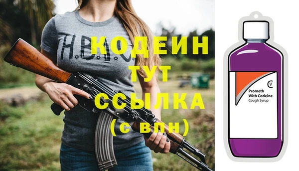 скорость Лагань