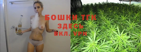 первитин Лабытнанги